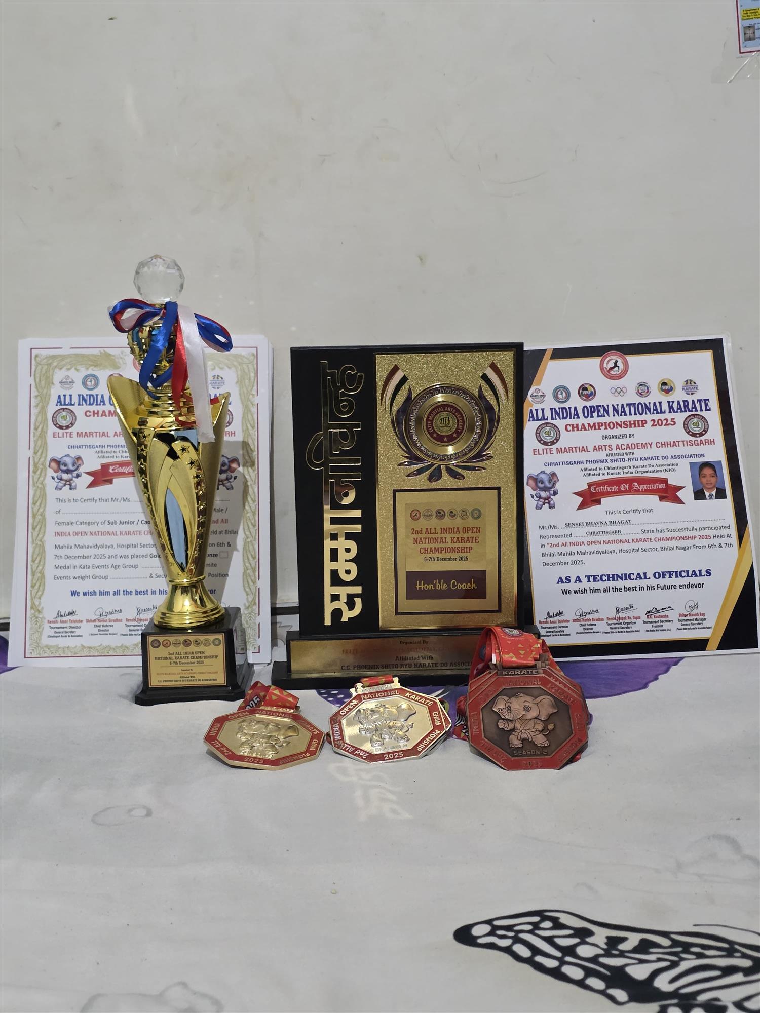 Shri Ramkrishna Public School kawardha 